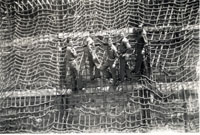 320th Infantry Regiment