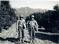 320th Infantry Regiment