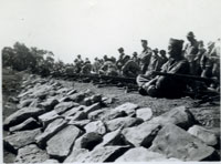 320th Infantry Regiment