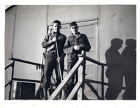 320th Infantry Regiment