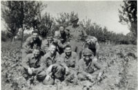 320th Infantry Regiment