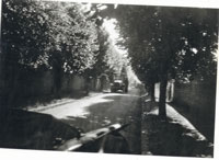 320th Infantry Regiment