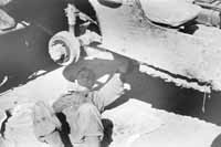 735th Ordnance Light Maintenance Company collection