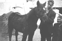 735th Ordnance Light Maintenance Company collection