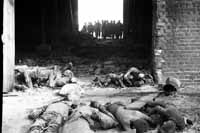 735th Ordnance Light Maintenance Company collection