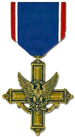 Distinguished Service Cross