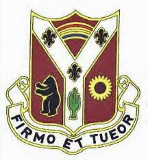 110th Medical Battalion Crest