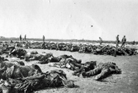 German casualties