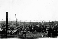 PW Camp