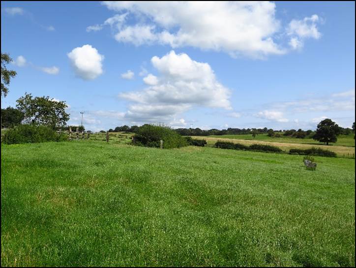 A grassy field with trees in the background

Description automatically generated with medium confidence