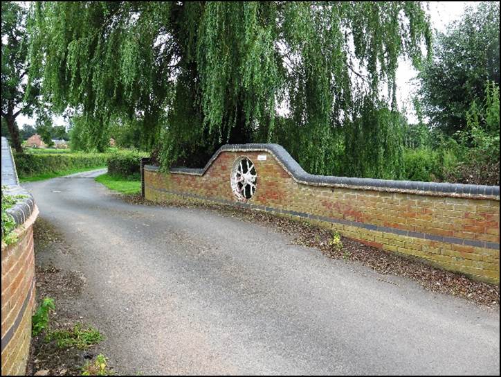 A picture containing tree, road, outdoor, plant

Description automatically generated