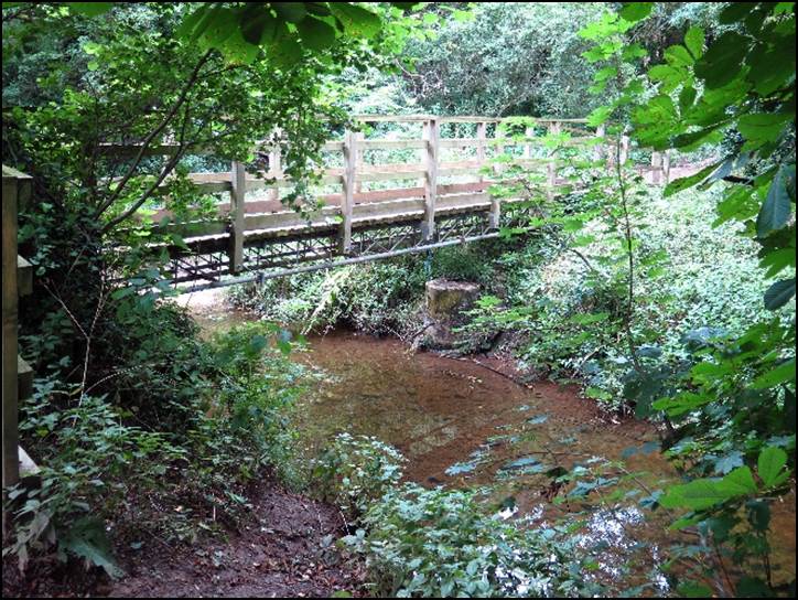 A wooden bridge over a creek

Description automatically generated with medium confidence
