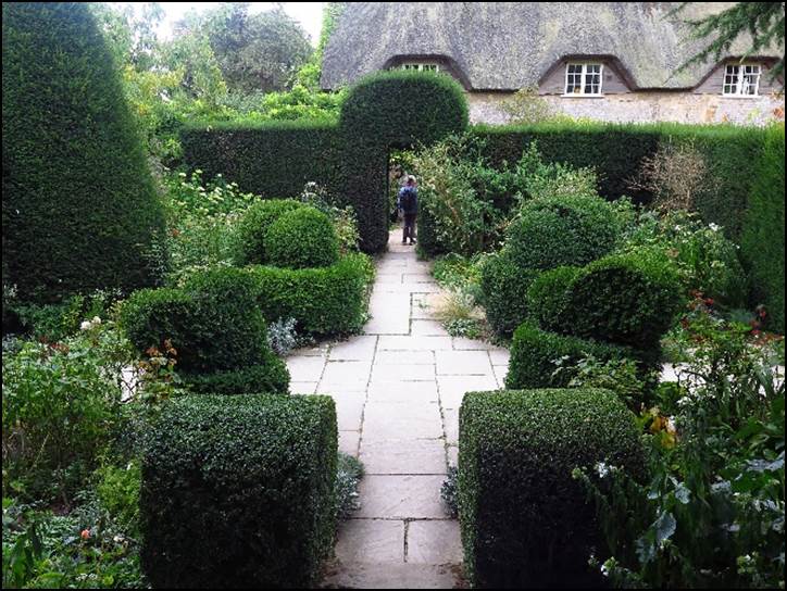 A person walking through a garden

Description automatically generated with medium confidence