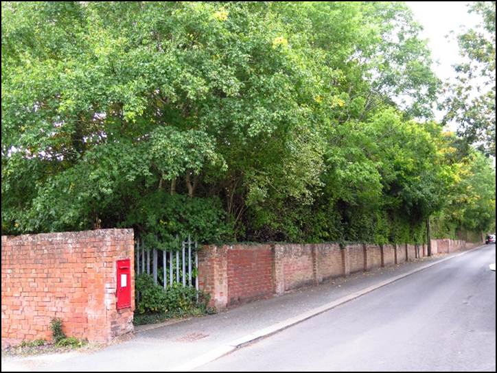 A picture containing tree, outdoor, road, red

Description automatically generated