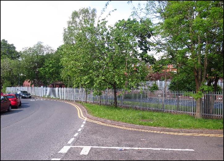 A picture containing tree, outdoor, road, scene

Description automatically generated