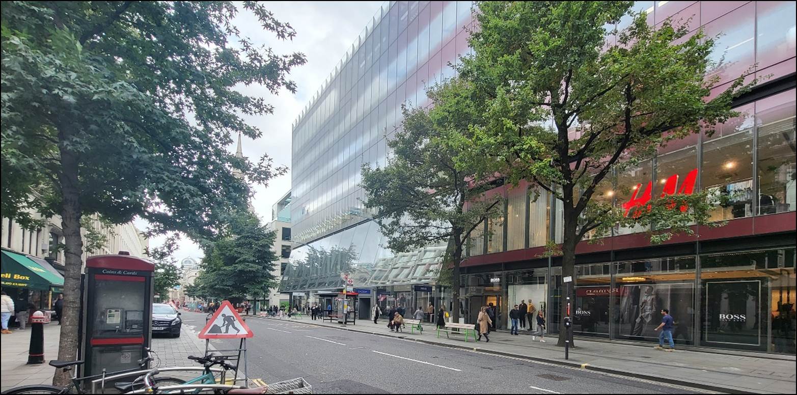 A street with trees and people walking on it

Description automatically generated