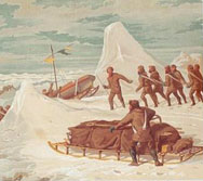 Artic Sledge history