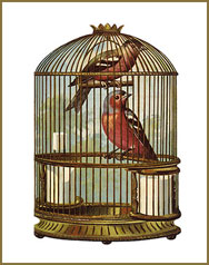 Bird Cage history