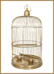 Bird Cage misc