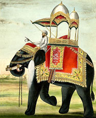 Elephant history