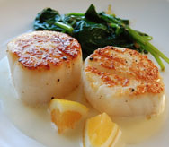 Scallop misc