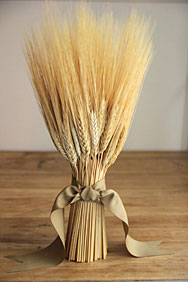Sheaf of Wheat facts