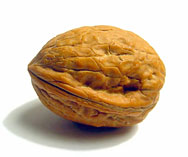 Walnut facts