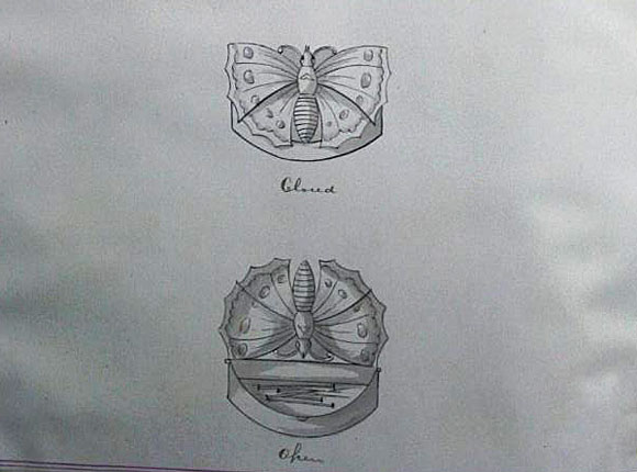 Butterfly Box Semi-Circle 
needle case