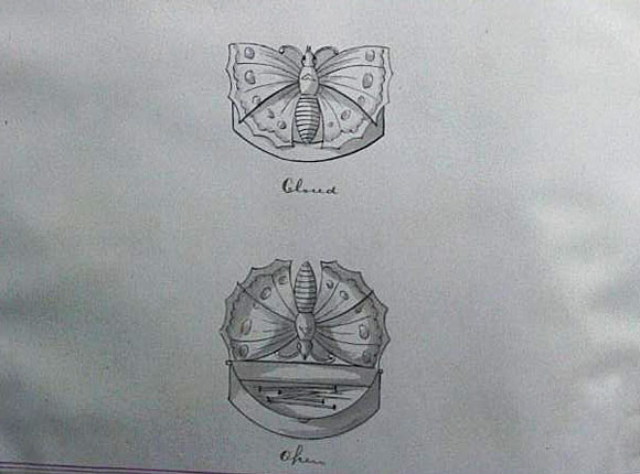 Butterfly Box Semi-Circle
needle case